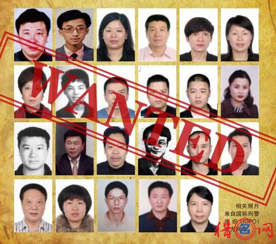 猎狐行动中国447个名字在红色通缉令上