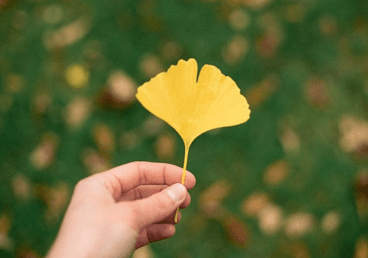 群名字污的优雅一点的