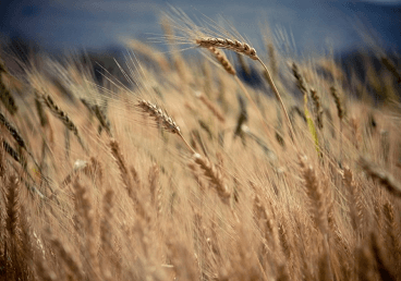 群名字污的优雅一点的